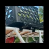 Discount Trek Bikes BiKASE DairyMan X Rear Bike Basket Black