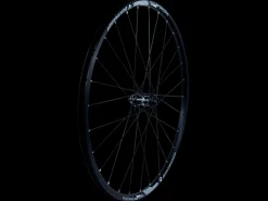 Cheap Trek Bikes Bontrager Mustang Pro 29" TLR Center Lock Disc MTB Wheel Black