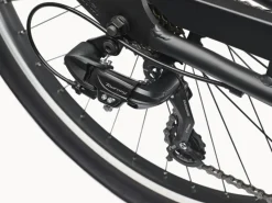 Cheap Trek Bikes Cruiser 7D Step-Over