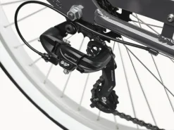 Best Trek Bikes Cruiser 7D Step-Thru