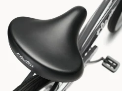 Best Trek Bikes Cruiser 7D Step-Thru