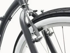 Best Trek Bikes Cruiser 7D Step-Thru