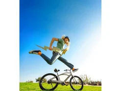 Flash Sale Trek Bikes Cruiser Go! Step-Over