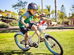 New Trek Bikes EBC 3000 Sprocket 20" Space Dust