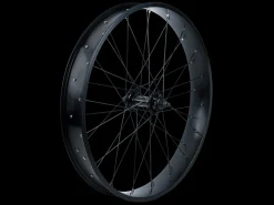 Best Trek Bikes Electra Lux Fat 26" Wheel Black