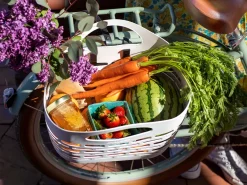 Discount Trek Bikes Electra Plasket 12mm Bracket Black