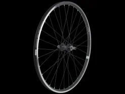 Discount Trek Bikes Electra Townie 7D 26" Wheel