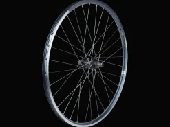 Discount Trek Bikes Electra Townie 7D 26" Wheel