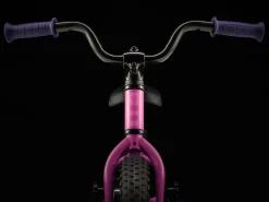 Hot Trek Bikes Precaliber 12