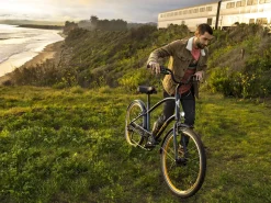 New Trek Bikes Townie 7D EQ Step-Over