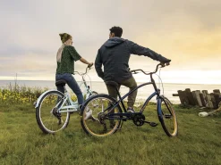 New Trek Bikes Townie 7D EQ Step-Over