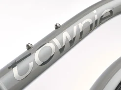 New Trek Bikes Townie 7D EQ Step-Over