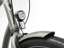 New Trek Bikes Townie 7D EQ Step-Over