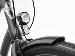 Hot Trek Bikes Townie 7D EQ Step-Thru