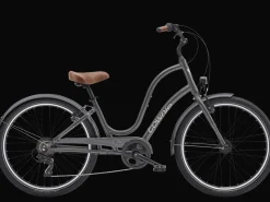 Hot Trek Bikes Townie 7D EQ Step-Thru