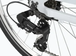 Hot Trek Bikes Townie 7D EQ Step-Thru