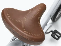 Hot Trek Bikes Townie 7D EQ Step-Thru