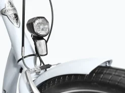 Hot Trek Bikes Townie 7D EQ Step-Thru