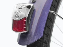 Hot Trek Bikes Townie 7D EQ Step-Thru