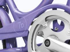 Hot Trek Bikes Townie 7D EQ Step-Thru