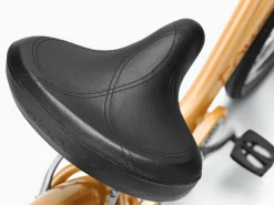 Hot Trek Bikes Townie 7D EQ Step-Thru