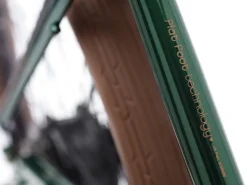 Cheap Trek Bikes Townie Go! 7D Step-Over