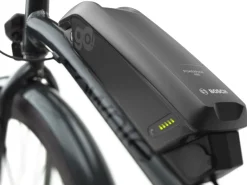 Outlet Trek Bikes Townie Go! 5i EQ Step-Over