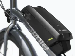 Outlet Trek Bikes Townie Go! 5i EQ Step-Over