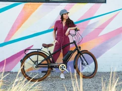 Outlet Trek Bikes Townie Go! 5i EQ Step-Over