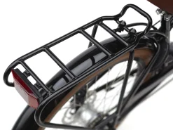 Outlet Trek Bikes Townie Go! 5i EQ Step-Over