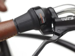 Outlet Trek Bikes Townie Go! 5i EQ Step-Over