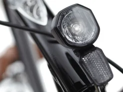 Outlet Trek Bikes Townie Go! 5i EQ Step-Over