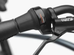 Outlet Trek Bikes Townie Go! 5i EQ Step-Over