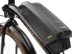 Outlet Trek Bikes Townie Go! 5i EQ Step-Over