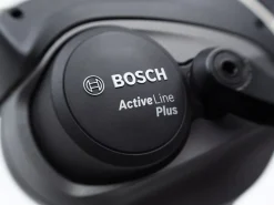 Outlet Trek Bikes Townie Go! 5i EQ Step-Over