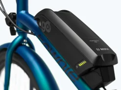 Outlet Trek Bikes Townie Go! 5i EQ Step-Over