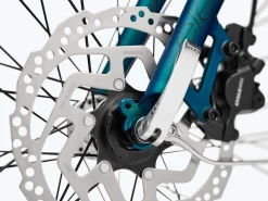 Outlet Trek Bikes Townie Go! 5i EQ Step-Over