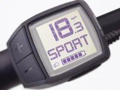 Outlet Trek Bikes Townie Go! 5i EQ Step-Over