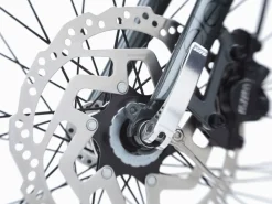 Outlet Trek Bikes Townie Go! 5i EQ Step-Over