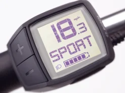 Fashion Trek Bikes Townie Go! 5i EQ Step-Thru