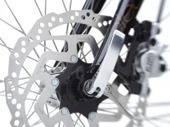 Fashion Trek Bikes Townie Go! 5i EQ Step-Thru