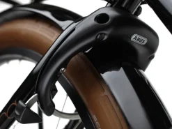 Fashion Trek Bikes Townie Go! 5i EQ Step-Thru