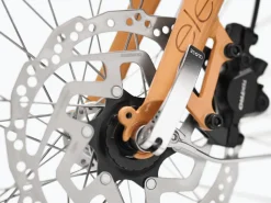 Fashion Trek Bikes Townie Go! 5i EQ Step-Thru