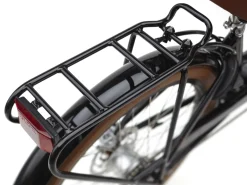 Fashion Trek Bikes Townie Go! 5i EQ Step-Thru