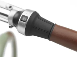 Fashion Trek Bikes Townie Go! 5i EQ Step-Thru