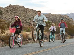 Fashion Trek Bikes Townie Go! 5i EQ Step-Thru