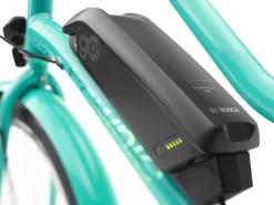 Fashion Trek Bikes Townie Go! 5i EQ Step-Thru