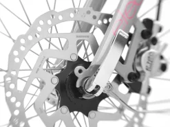 Fashion Trek Bikes Townie Go! 5i EQ Step-Thru