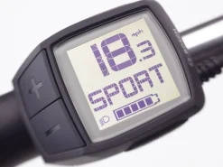 Fashion Trek Bikes Townie Go! 5i EQ Step-Thru