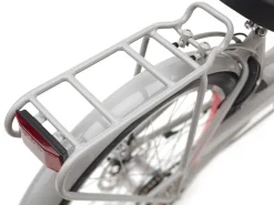 Fashion Trek Bikes Townie Go! 5i EQ Step-Thru